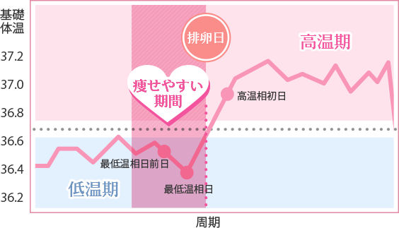 生理の期間になると痩せにくい？