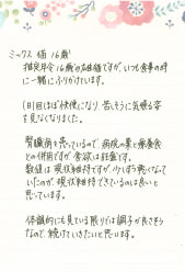 1日1回ほぼ快便になり、苦しそうに気張る姿を見なくなりました